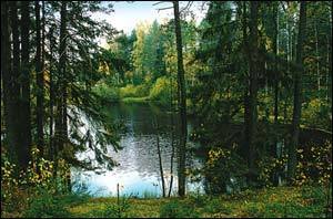 ВНЖ Латвии