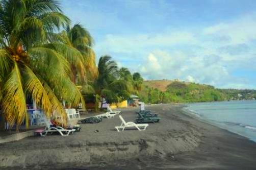 coconut beach