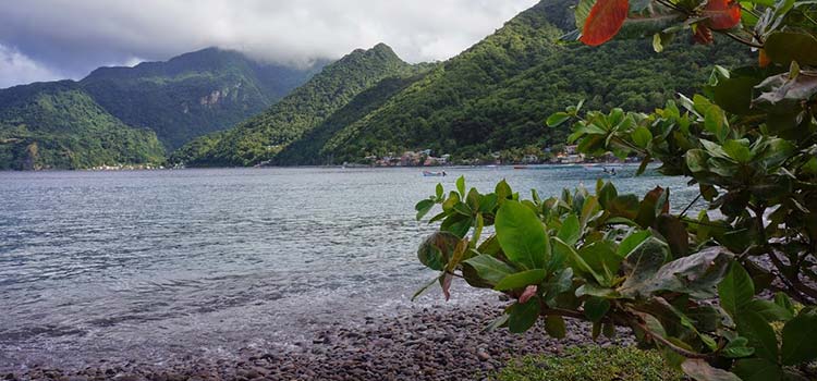 dominica