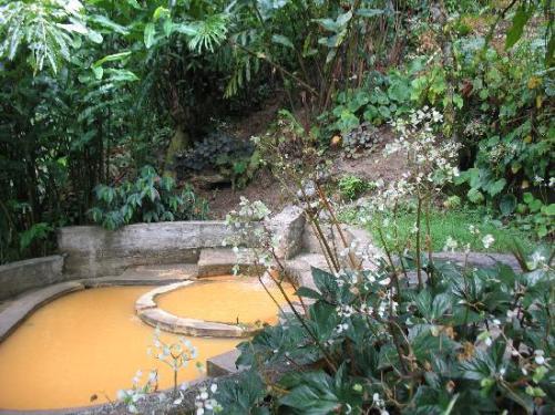 papillote gardens_2