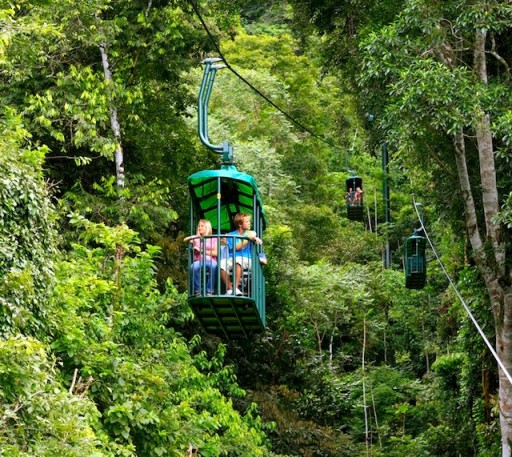 Rainforest Aerial Tram