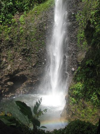 Middleham Falls