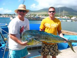 Speedy 4 Charters