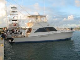 VIP Charters