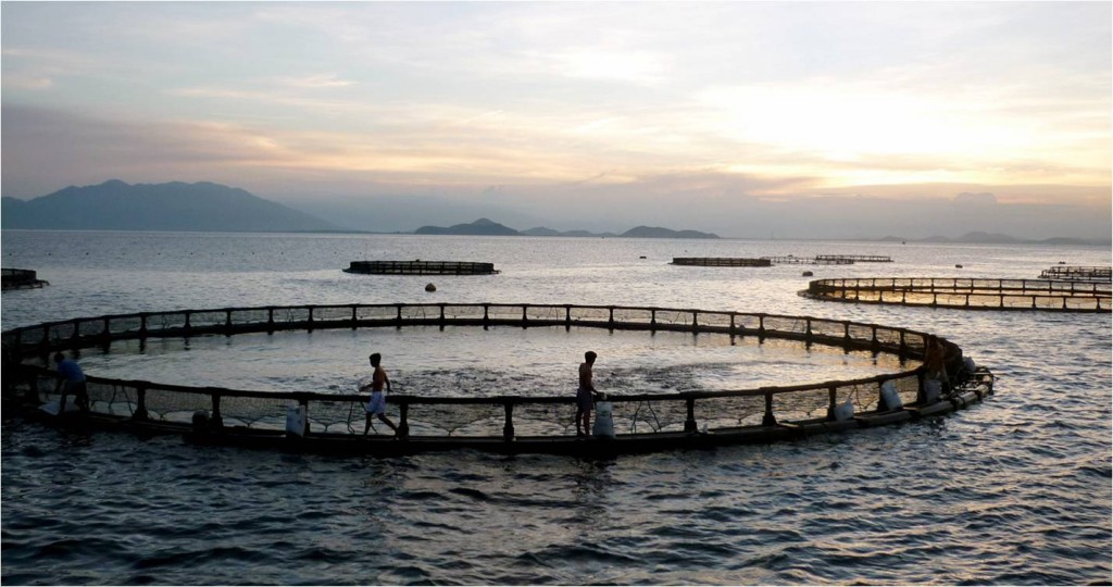 Grenada Sustainable Aquaculture
