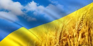 Почему в 2015 году важно знать страны не только из чёрного списка оффшоров Украины