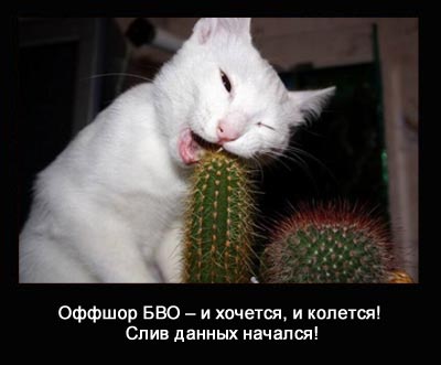 Оффшор БВО - и хочется и колится