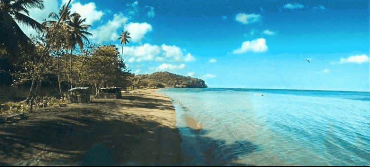 Dominica 3