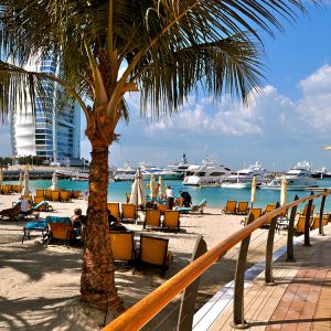 UAE-palm