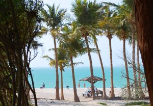 dubai-jumeirah-beach