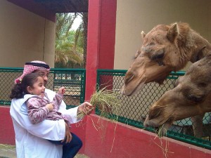 shardzha-zoo