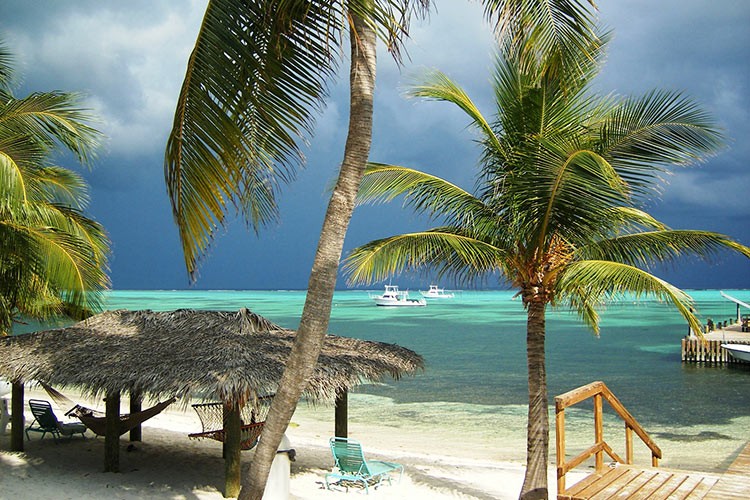 caymans