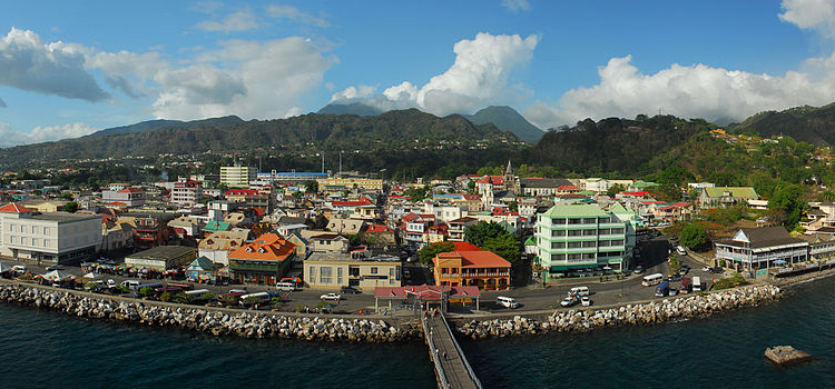 dominica-firmi