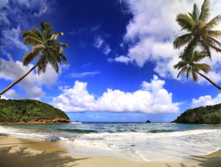 Dominica3