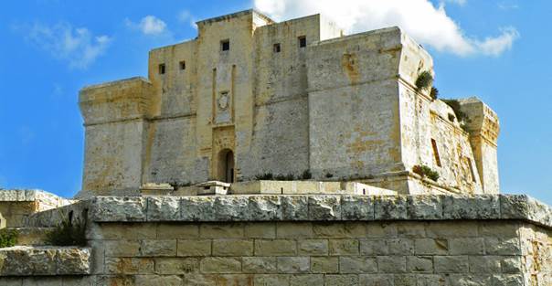 fort — копия