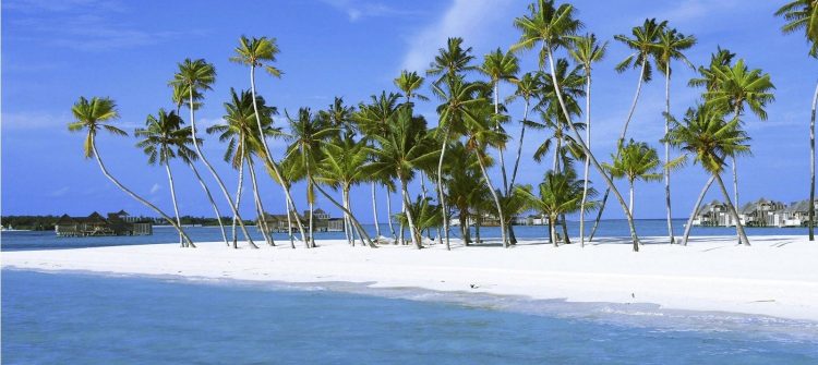 panama-ofshor