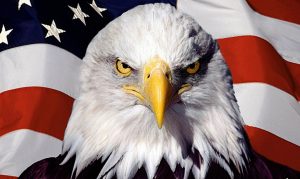 usa-fatf