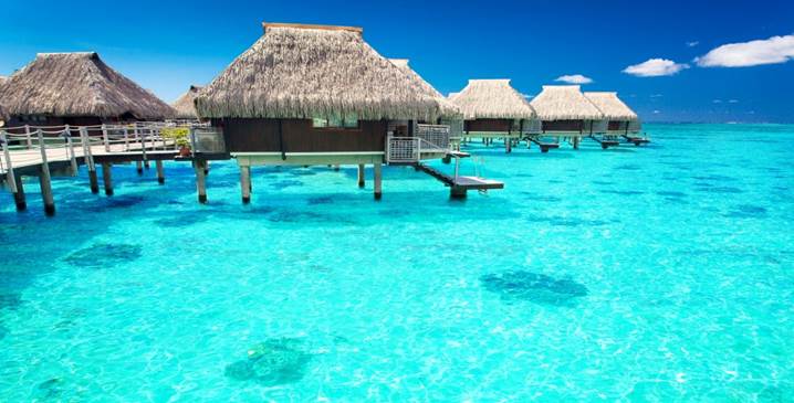 Paradise Found