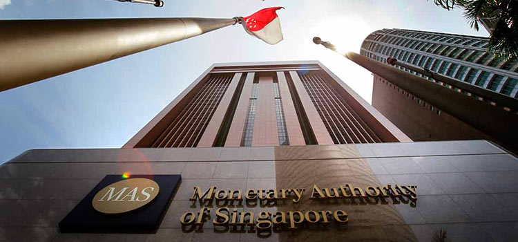 Singapore-fin