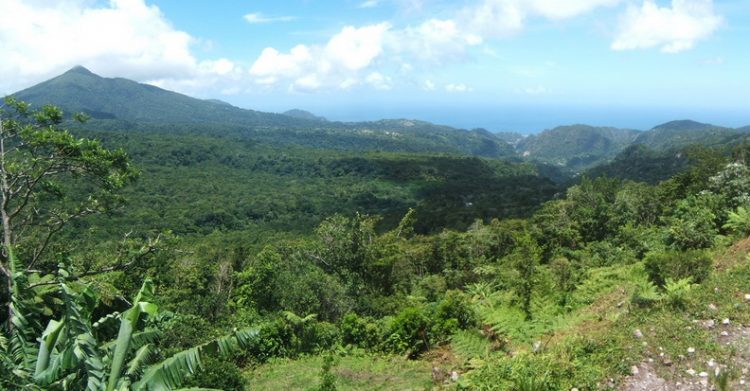 dominica offshore company 3