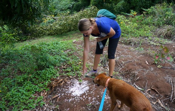 Hash House Harriers