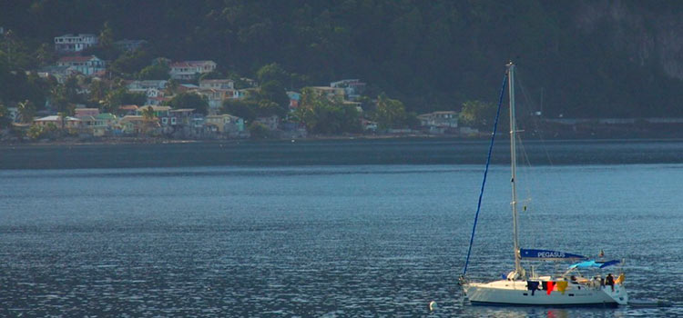 dominica-from-ukraine