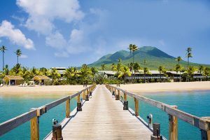 nevis-irl