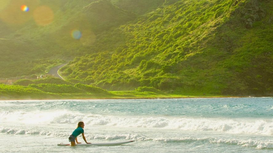 dominica-bay-%d0%ba%d0%be%d0%bf%d0%b8%d1%8f