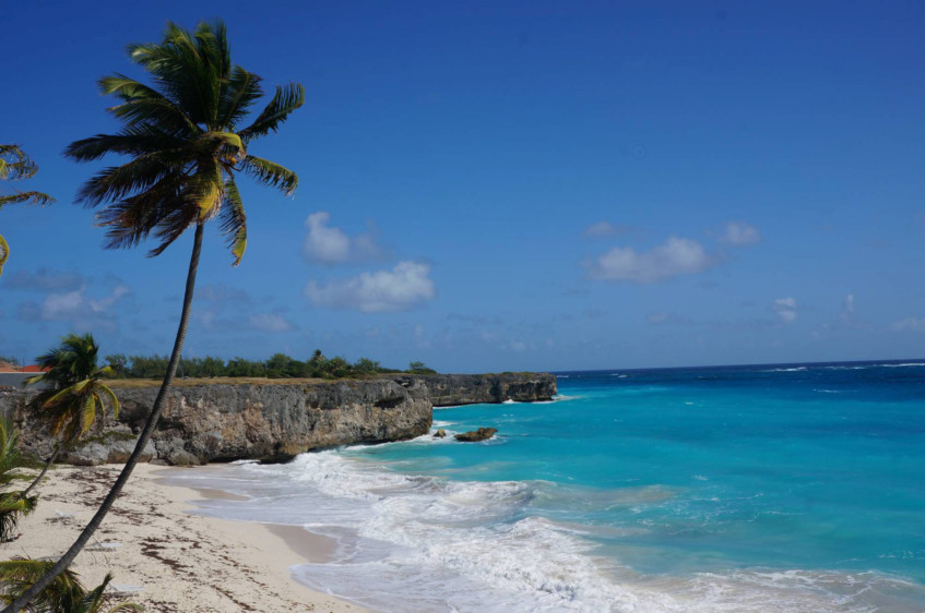 Dominica and Barbados