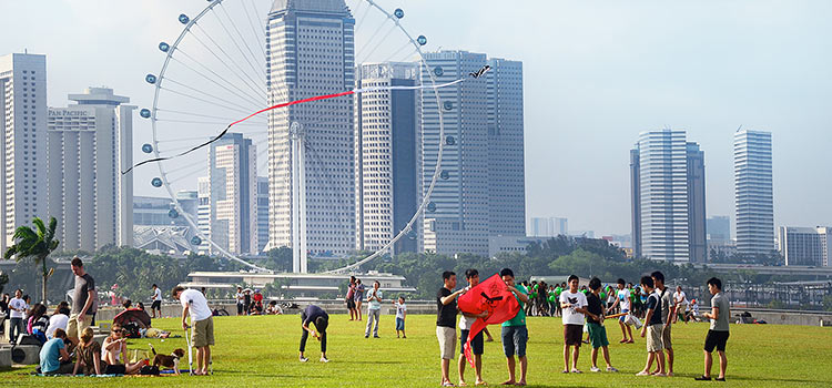 singapore-registrar
