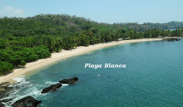 blanca