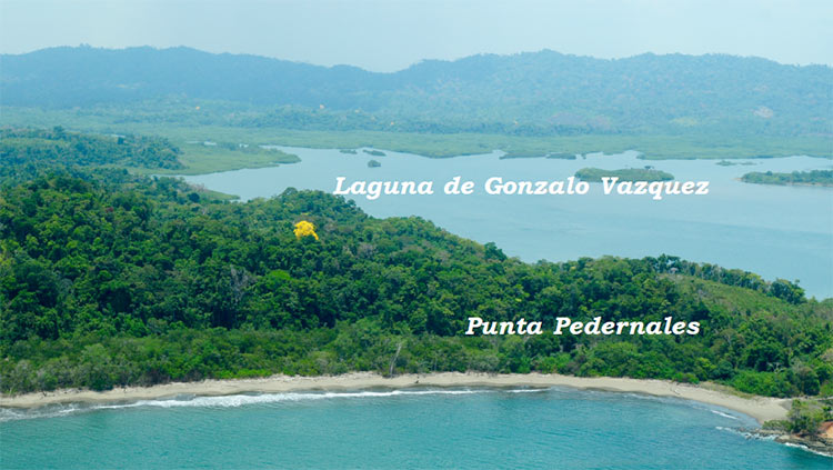 laguna-punta