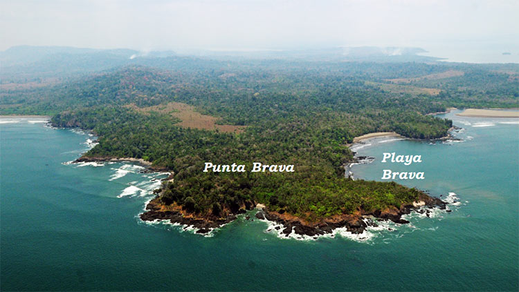 punta-brava