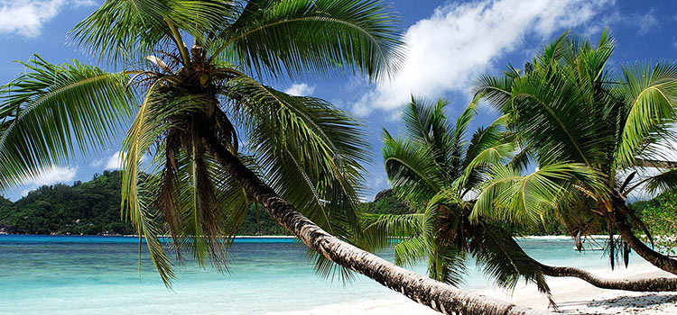 seychelles3