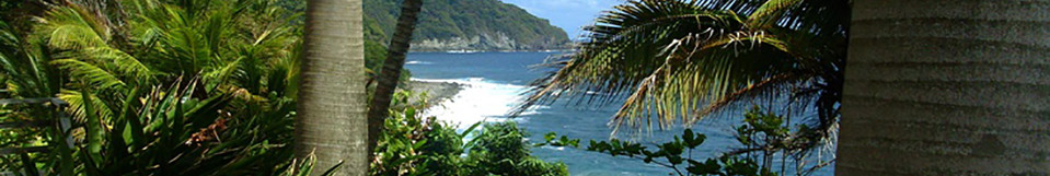 курорт Jungle Bay Resort and Spa