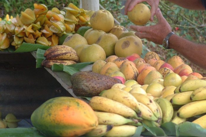 высокая безопасность продуктов питания