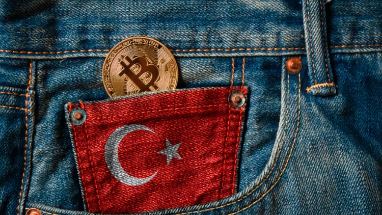 паспорт и гражданство Турции