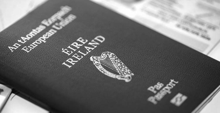 вид на жительство Ирландии