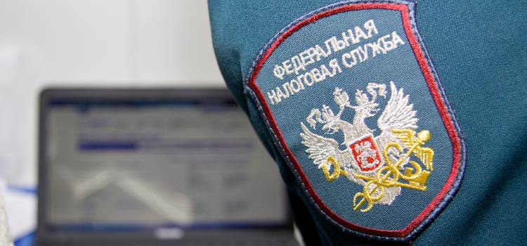 Финансово-налоговый инспектор