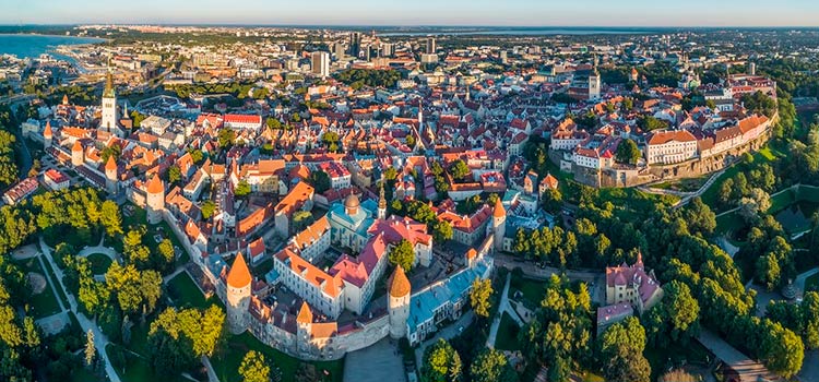 регистрация Питерской компании в Эстонии