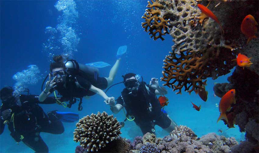 DiveFest Saint Lucia