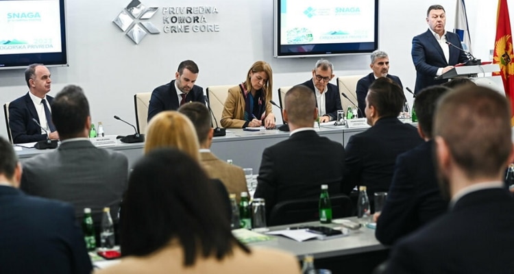 Налог на реинвестированную прибыль в Черногории
